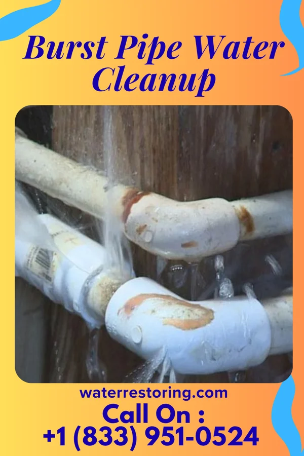 Burst Pipe Water Cleanup in Leoti, KS