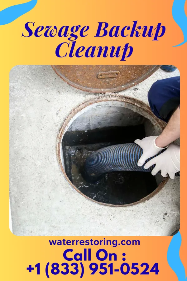 Sewage Backup Cleanup in Leoti, KS