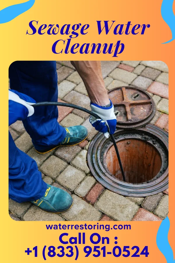 Sewage Water Cleanup in Leoti, KS