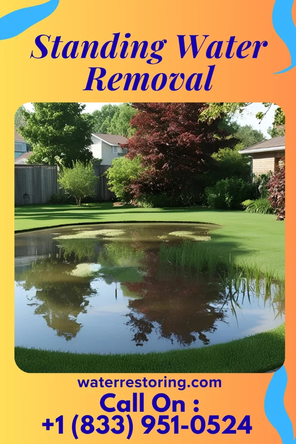 Standing Water Removal in Leoti, KS